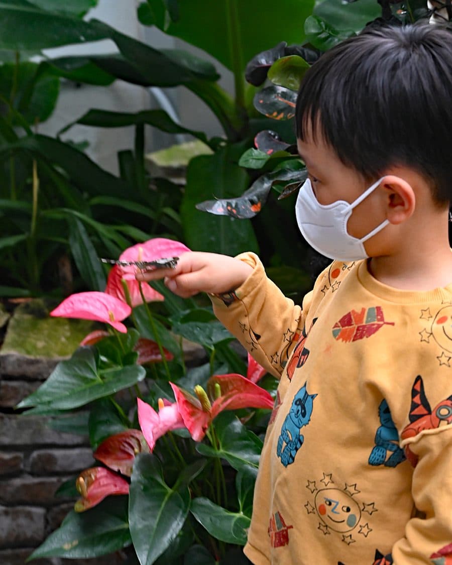 The Butterfly Place