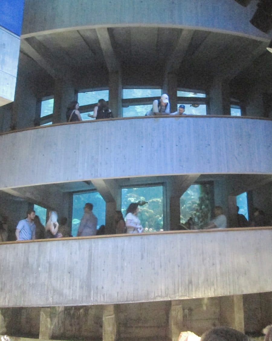 New England Aquarium